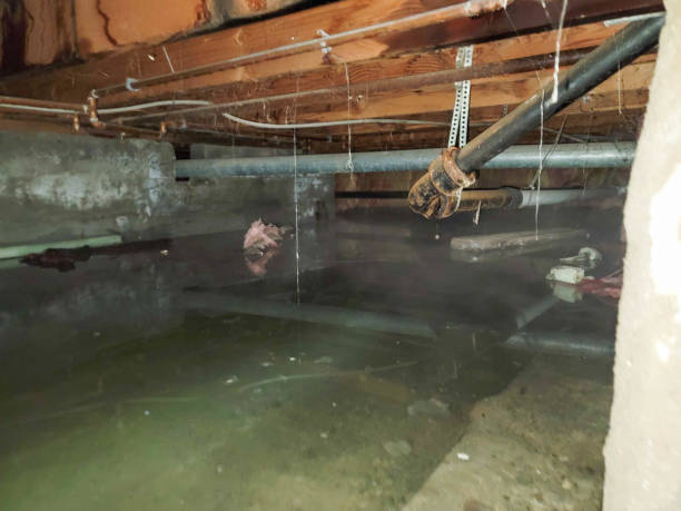 Best 24-hour water damage restoration  in Clarence Center, NY