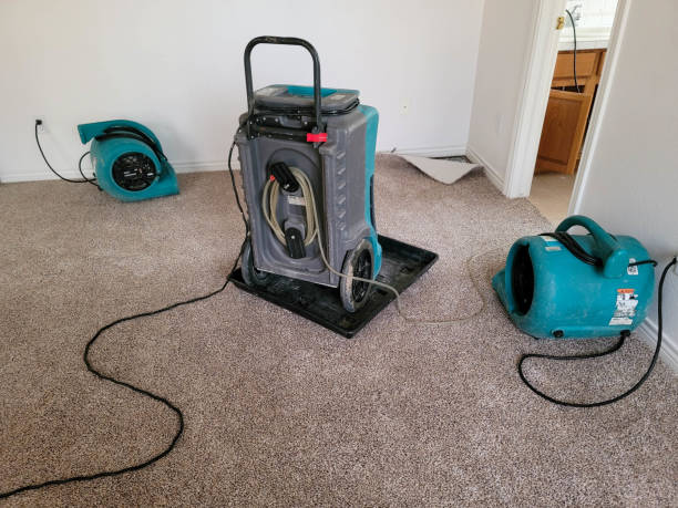 Best Water damage contractors near me  in Clarence Center, NY