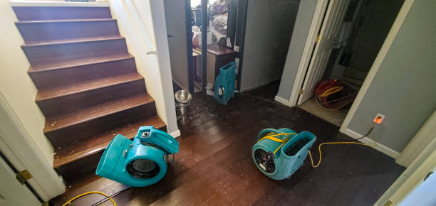 Best Water damage contractors near me  in Clarence Center, NY