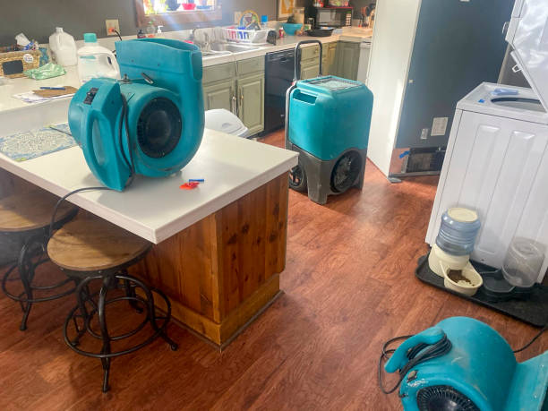 Best Local water damage restoration  in Clarence Center, NY