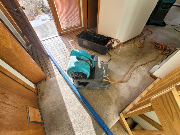 Best Flooded house restoration  in Clarence Center, NY