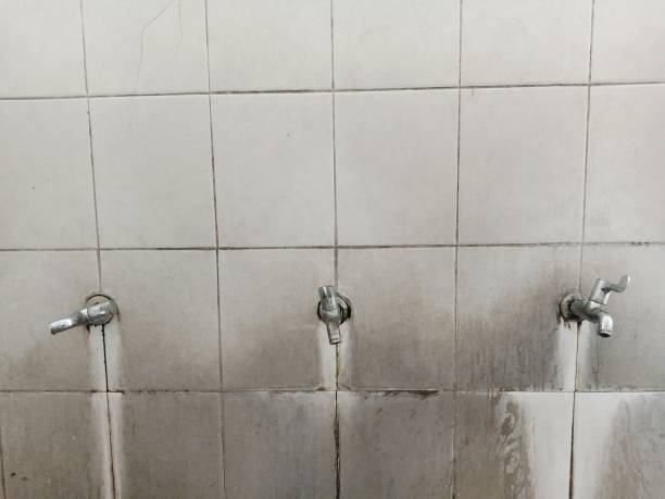 Best Local water damage restoration  in Clarence Center, NY