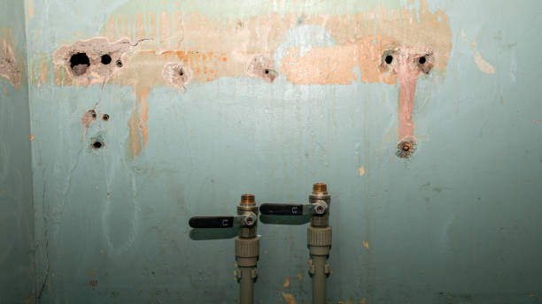 Best Sewage cleanup and water damage restoration  in Clarence Center, NY
