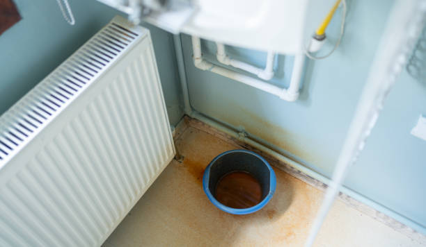 Best Carpet water damage restoration  in Clarence Center, NY