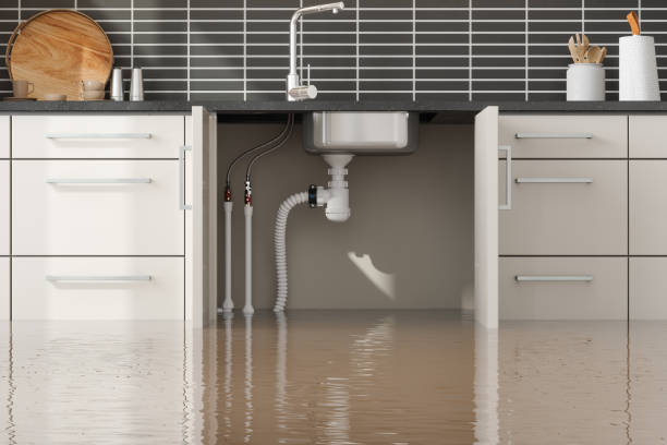 Best Water damage restoration services  in Clarence Center, NY