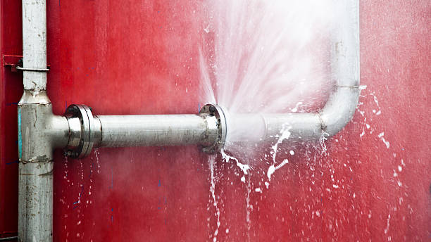 Best Water damage cleanup near me  in Clarence Center, NY